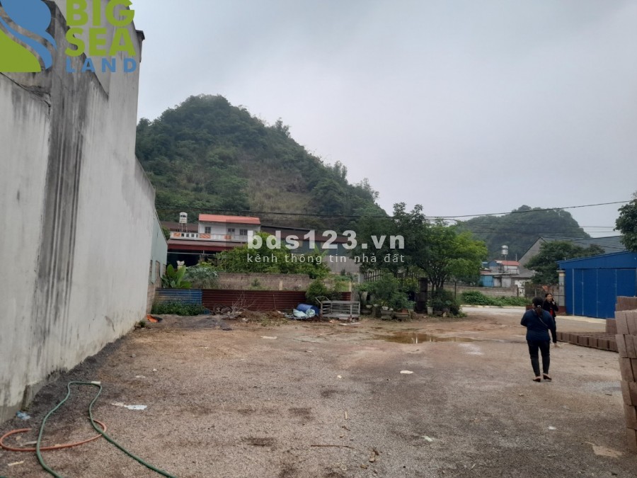 Đất nền Mộc Châu phù hợp homestay khai thác du lịch 4 mùa, giá thoả thuận chính chủ
