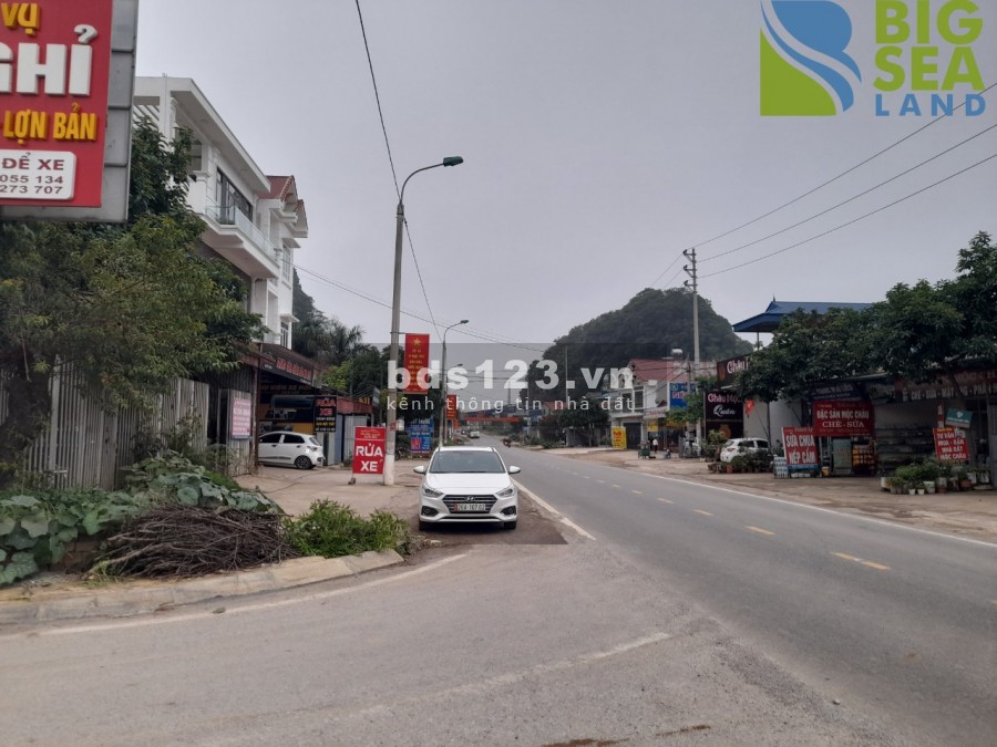 Đất nền Mộc Châu phù hợp homestay khai thác du lịch 4 mùa, giá thoả thuận chính chủ