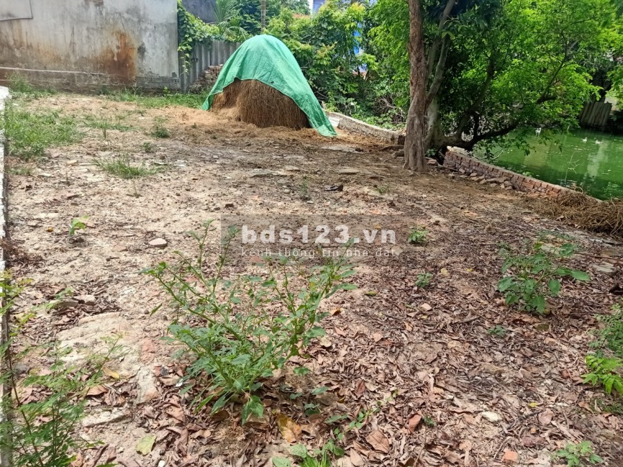 Bán đất chính chủ, sổ sẵn Mỹ. Hào, diện tích 76m2, gọi ngay: 0974 620 680, giá 520 triệu