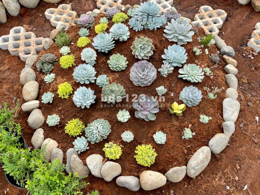 Cực sốc Đất nền diện tích lớn giá rẻ ven Đà Lạt 334m2 có thổ cư, giá chỉ 1,2 tỷ