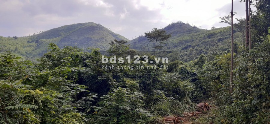 bán đất giá 14.000 vnđ/m2 sổ sách đầy đủ Ninh Hòa, Khánh Hòa LH 0788.558.552