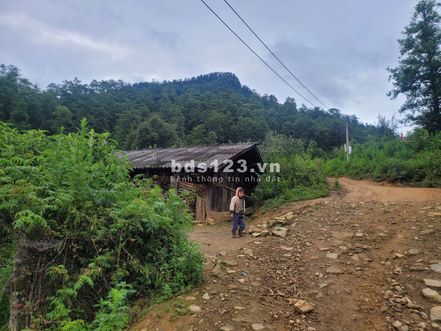 Đất Sapa (2) có nhà Gỗ, lưng tựa núi mặt View Hồ, mảnh đất có diện tích khoảng 900m2