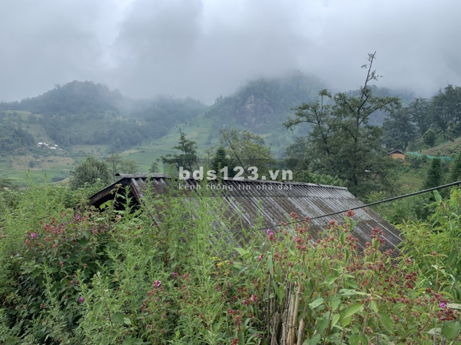 BĐS nghỉ dưỡng Phìn Hồ Y Tý Sapa2 diện tích đất rộng 900m2 view đẹp