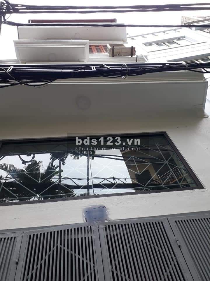 Bán nhà Hào Nam diện tích 38m2 giá bán 4.2 tỷ lô góc gần phố kinh doanh tốt