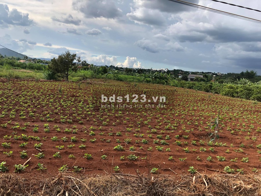 Đất nền Nam Ban, diện tích đất 247m2, view đồi, đường 4m oto, giá 648 triệu