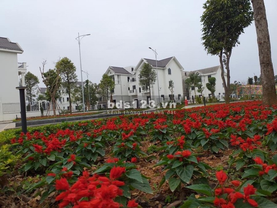 Mua 1 được 3 với TimesGarden Vĩnh Yên, thanh toán linh hoạt chia thành nhiều đợt.