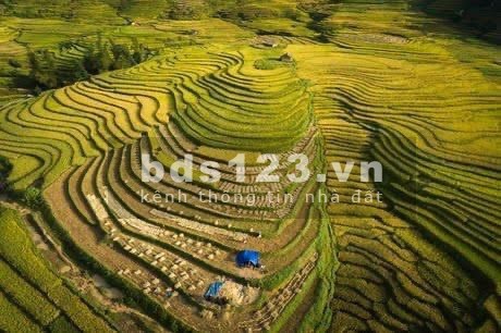 Đất Trung Chải giá rẻ, view đẹp gần ngay trung tâm hành chính huyện, giá thoả thuận