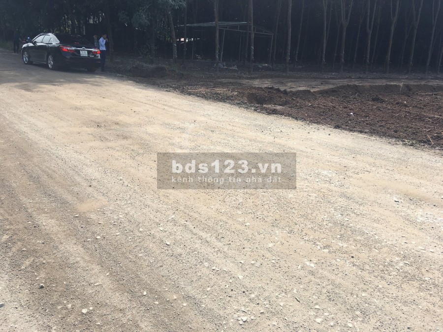 Chính chủ bán gấp nền đất 159m2 thổ cư 50m2 tại Đồng Xoài giá thương lượng
