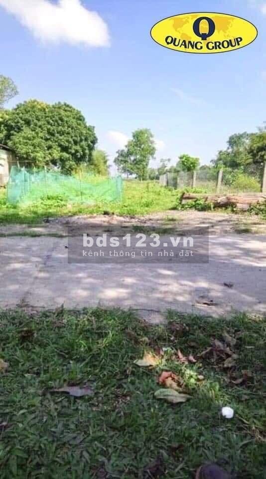Bán nhanh lô đất giá đầu tư tại Phan Xá-Cam Thành, diện tích 120m2, giảm lộc cho khách