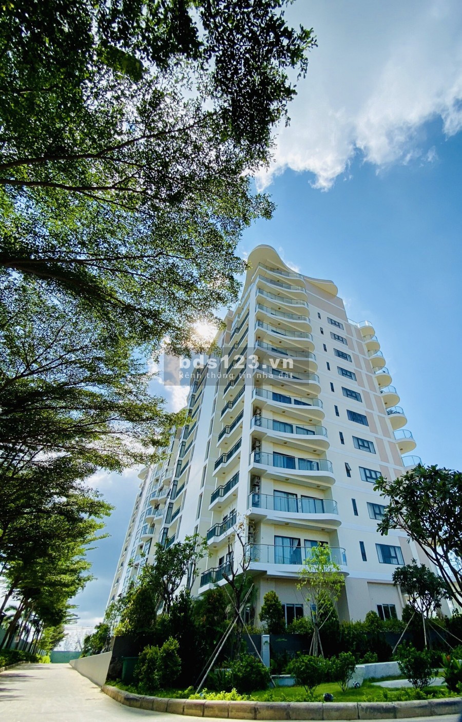 View biển 100%, chiếu khấu đến 15% chỉ có tại căn hộ resort Aria Vũng Tàu, giá thoả thuận