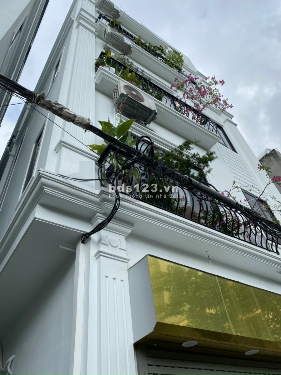 Bán nhà nguyên căn. Villa ngay cạnh BigC Long Biên, thiết kế 5 tầng đúc, lhcc