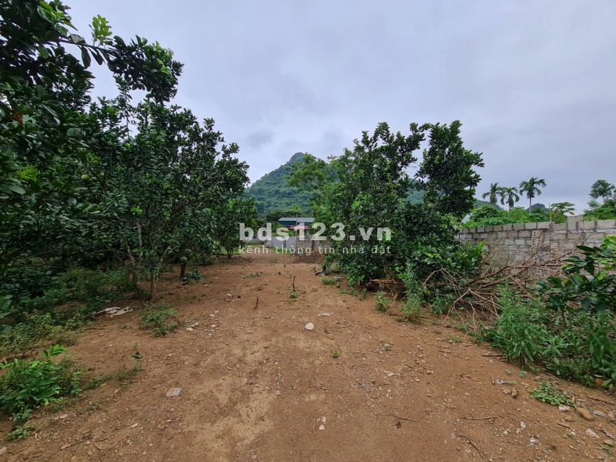 Mảnh đất bám suối cực đẹp duy nhất còn sót lại tại Tú Sơn Kim Bôi, Hoà Bình, giá hơn 1 tỷ