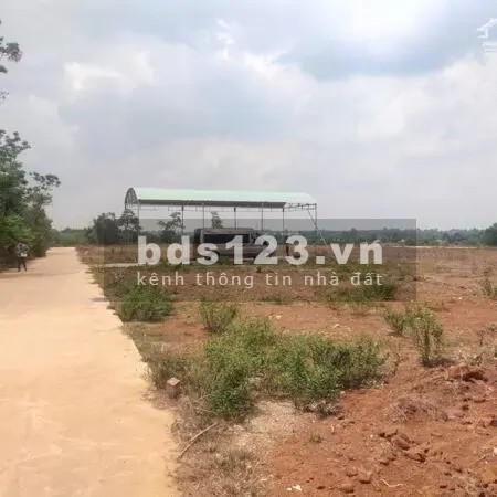 Bán đất nền sông Xoài, gần trung tâm Hắc Dịch, tiện ích đầy đủ, hạ tầng hoàn thiện
