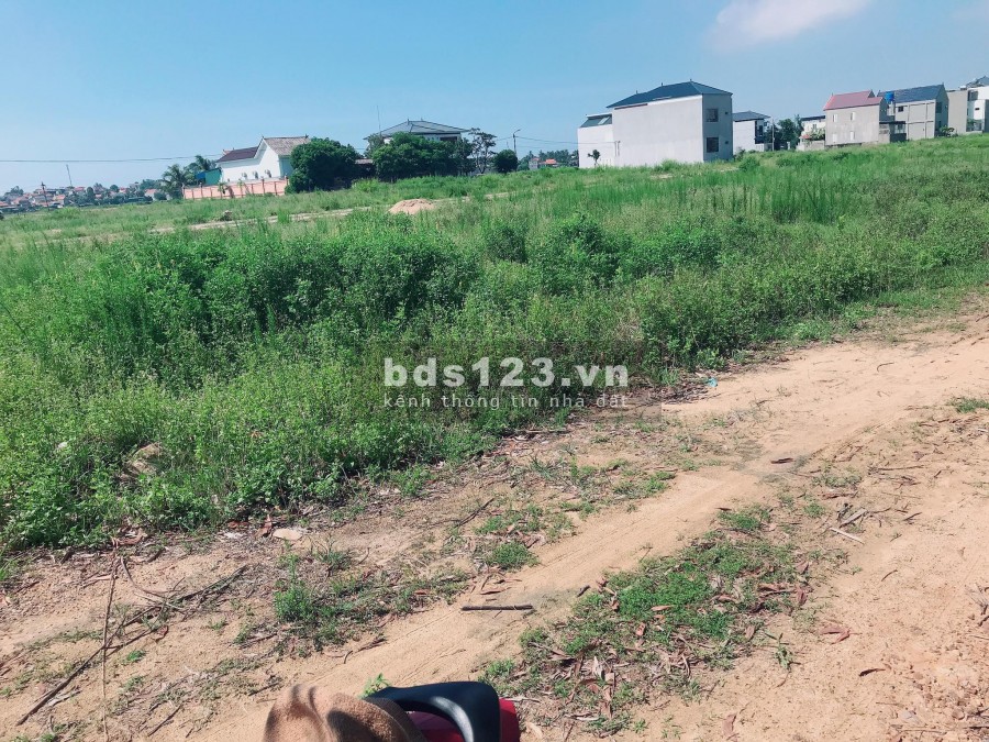 Chỉ từ 350 triệu sở hữu ngay đất nền khu đô thị tại thị xã Hoàng Mai, Nghệ An, sổ đỏ