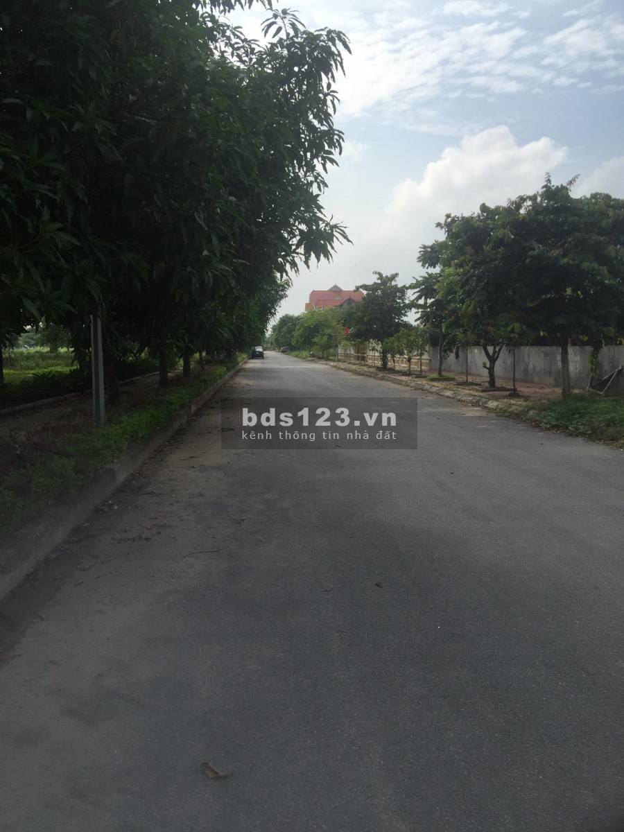 Dự án New City bậc nhất Hưng Yên, giá ưu đãi nhất thị…
