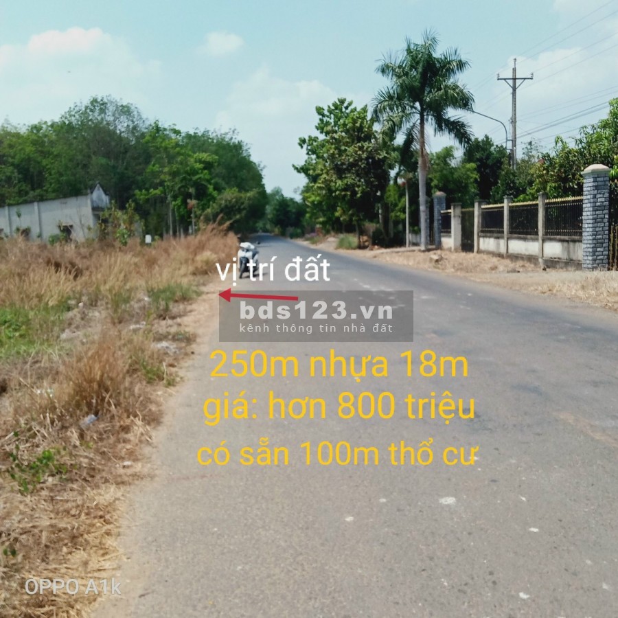 Kẹt tiền mùa dịch cần sang nhượng lại lô đất cách chợ An Linh phú giáo 500m.