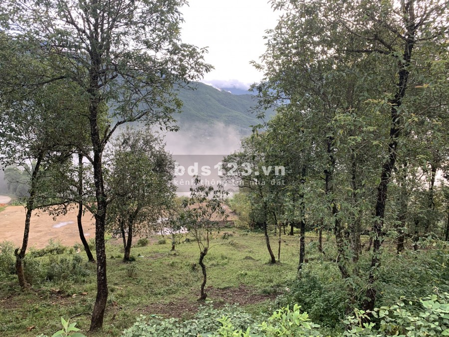 Bán đất Y Tý diện tích 4000m2 quy hoạch đất ở, pháp lý an toàn, liên hệ 0822356688