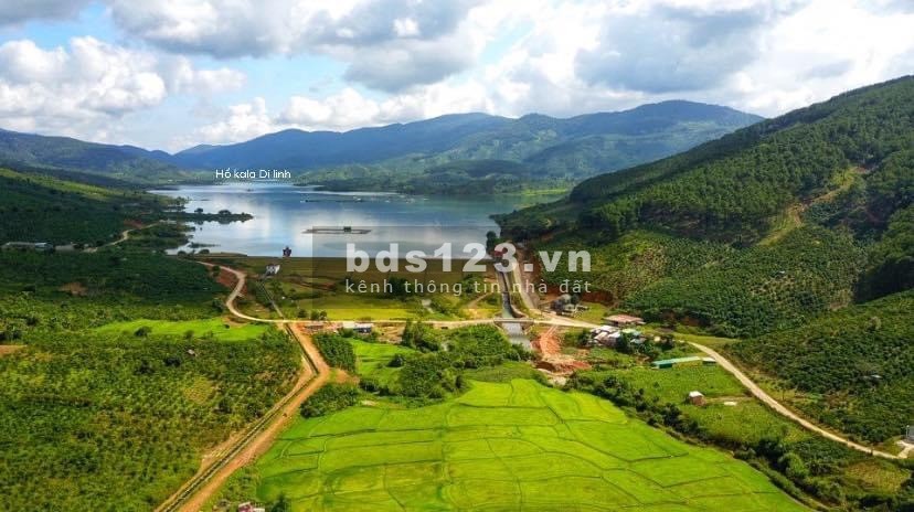 Quỹ đất hiếm ven hồ Tây Di Linh, tiện ích đủ, vị trí đắc địa, xe vào tận nơi, sổ sẵn