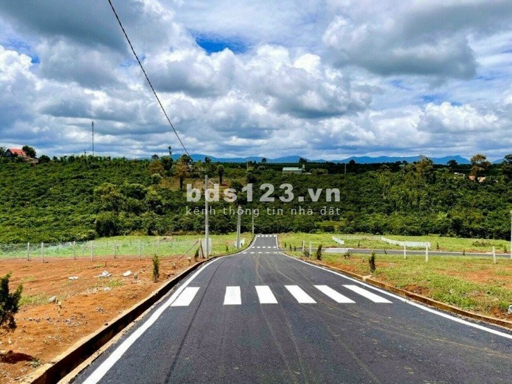 Đất Lai Hưng, Bàu Bàng giá rẻ, ngay khu công nghiệp, đầu tư…