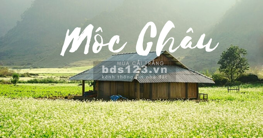 Đất huyện mộc châu 600m² giá siêu rẻ có sổ