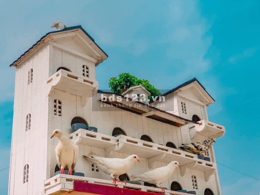 Chỉ với 10% đợt 1 sở hữu ngay lô đất đẹp nhất tại dự án Danko City Thái Nguyên