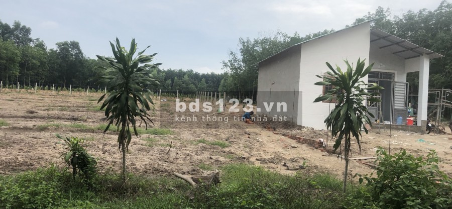 Bán gấp đất mặt tiền đường Bàu Cạn giá ngộp dân cư đông, lh 0349854941