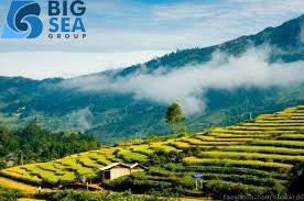 Bán lô đất trung tâm Y Tý ngải trồ mặt đường tỉnh lộ 158 giá hấp dẫn, chính chủ