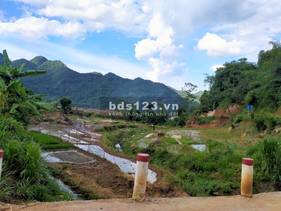 Mảnh đất bám suối cực đẹp duy nhất còn sót lại tại Tú Sơn Kim Bôi, Hoà Bình, giá hơn 1 tỷ
