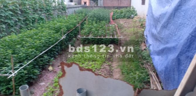 Cần bán 80m đất Tổ 16 P. Thạch Bàn, mặt tiền rộng 4.5m, giá 5.8 tỷ. ô tô tránh, Kinh doanh: