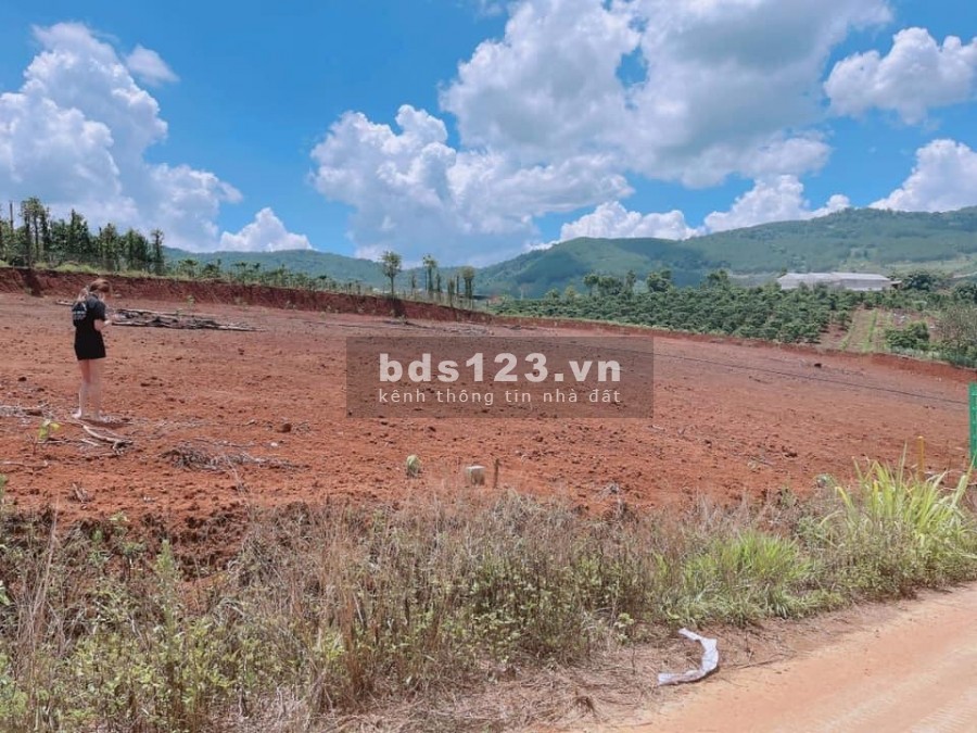 Bán đất Đông Thanh, 254m2, 579 triệu, thổ cư, đường oto thông