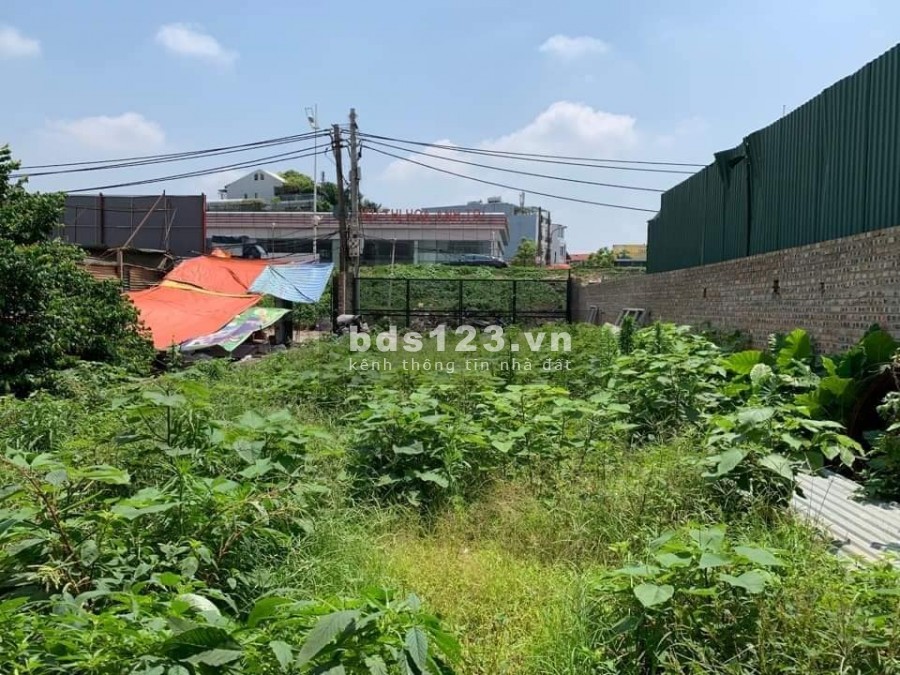 Đất phân lô, đường xe công tránh, mặt tiền rộng phố Việt Hưng, Long Biên, 335 m, giá 34 tỷ