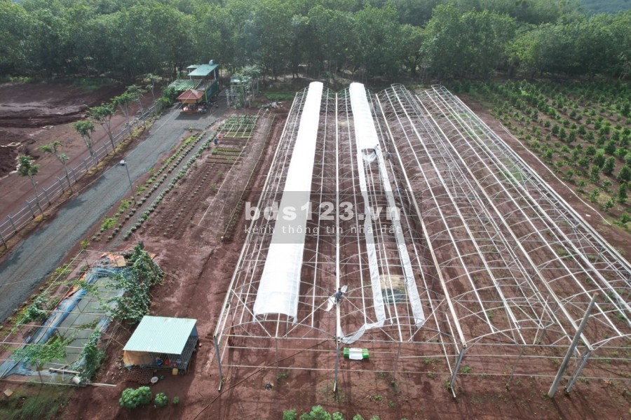 Đất Bình Phước giá rẻ, lợi nhuận cao, pháp lý minh bạch, đã có giấy phép xây dựng