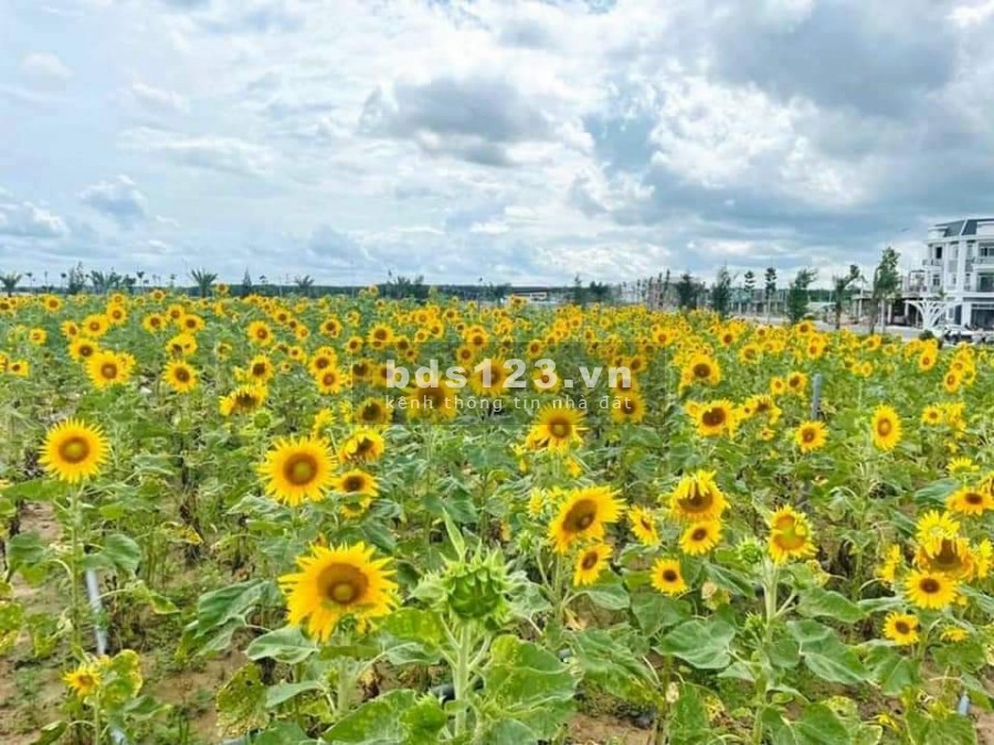 Cam kết sinh lời 100% chỉ có ở Century city Long Thành