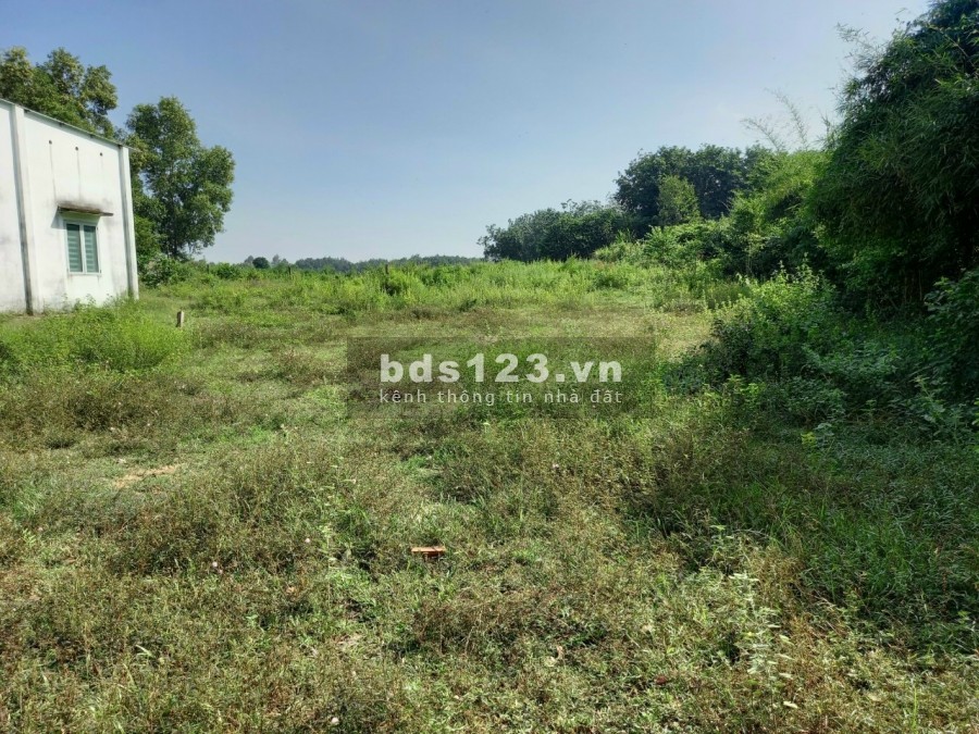 Mặt tiền Tăng Thị Hội xã An Nhơn Tây cách TL7 150m đường thông khu dân cư đăng ký thổ cư