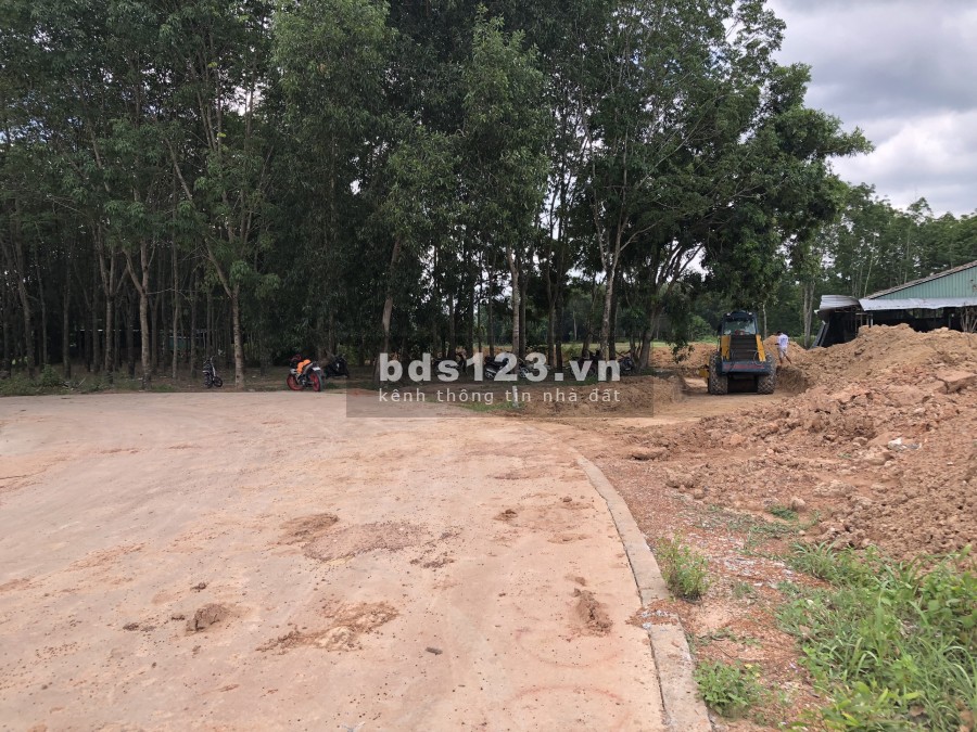 Bán đất chính chủ Phú Chánh giá cực rẻ, đường bê tông xe vào tận đất