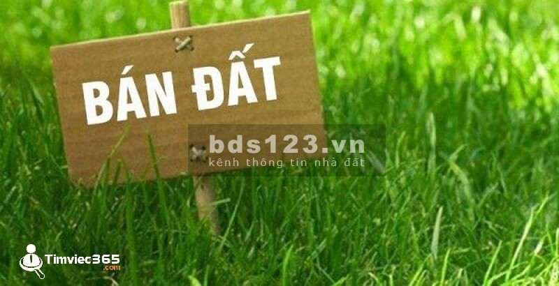 Cần tiền bán liền lô đất Lạc Long Quân Quận Tây Hồ, diện tích 99m2, mt 5.7m, giá chỉ 3.9 tỷ