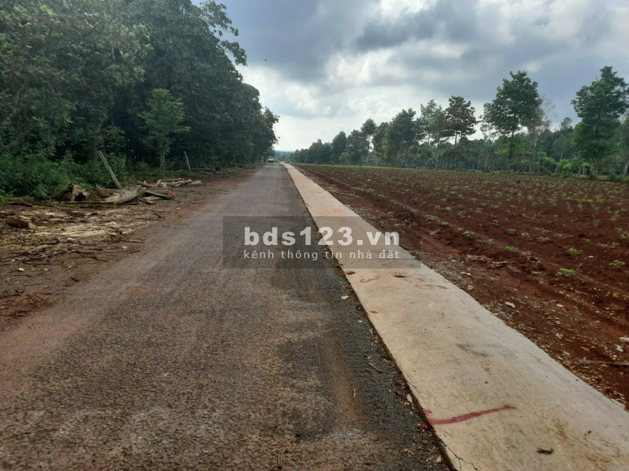 Đất phân lô vuông vức đẹp, sổ riêng full chỉ tiêu thổ cư, hỗ trợ vay , tặng ngay 5 chỉ vàng