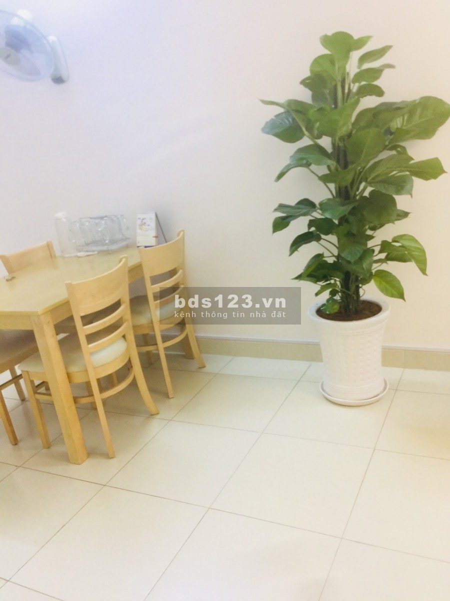 Cho thuê Căn hộ chung cư Sơn An, diện tích 70m2, 2 phòng ngủ, giá 8 triệu/tháng