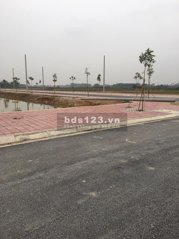 Khu dân cư Đồng Nam, Đất Huyện Đông Sơn cần bán nhanh lô đất diện tích 108m², sổ sẵn