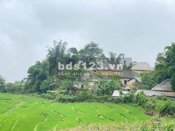 Mảnh đất Sa Pa 2 Tả Van 2 cực đẹp view ruộng gần suối khai thác du lịch