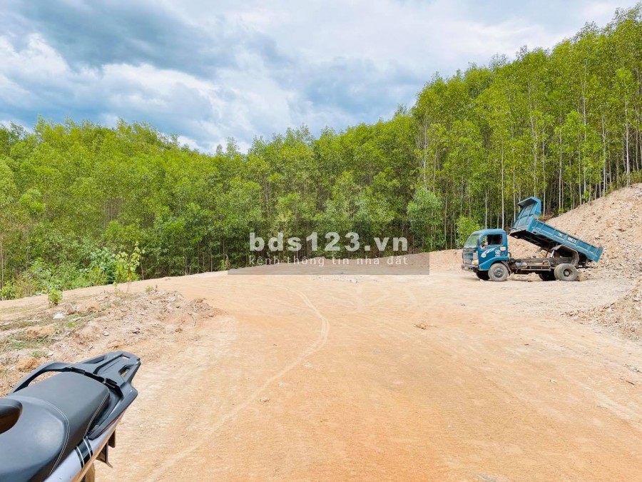Gia đình cần bán đất gần cao tốc mới Nha Trang - Đà Lạt giá rẻ LH 0788.558.552