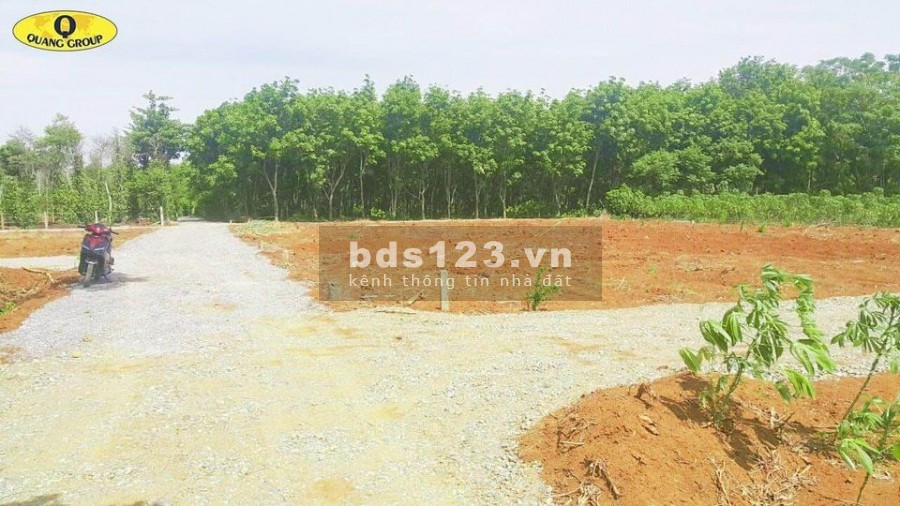 Mở bán 6 lô đất ven thị trấn Hồ Xá, pháp lí sổ hồng riêng, vị trí đắc địa, khu dân cư đông