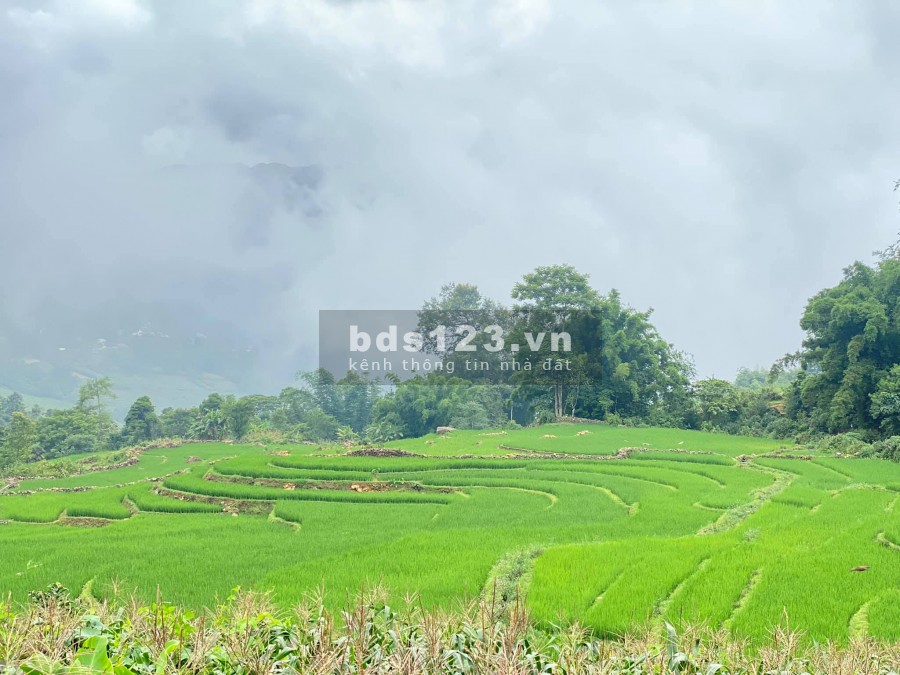 Mảnh đất Sa Pa 2 Tả Van 2 cực đẹp view ruộng gần suối khai thác du lịch