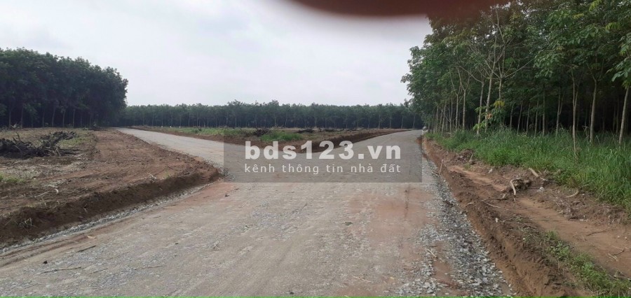 Cần ra gấp lô đất mặt tiền cai tốc Mỹ Phước Tân Vạn, liên hệ 0385980683, diện tích rộng