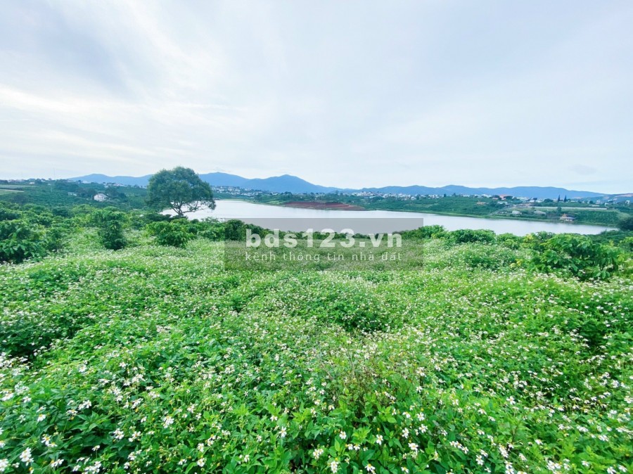 Cần bán gấp lô đất nền thổ cư ngay trung tâm thị trấn Di Linh, view hướng mặt Hồ Tây