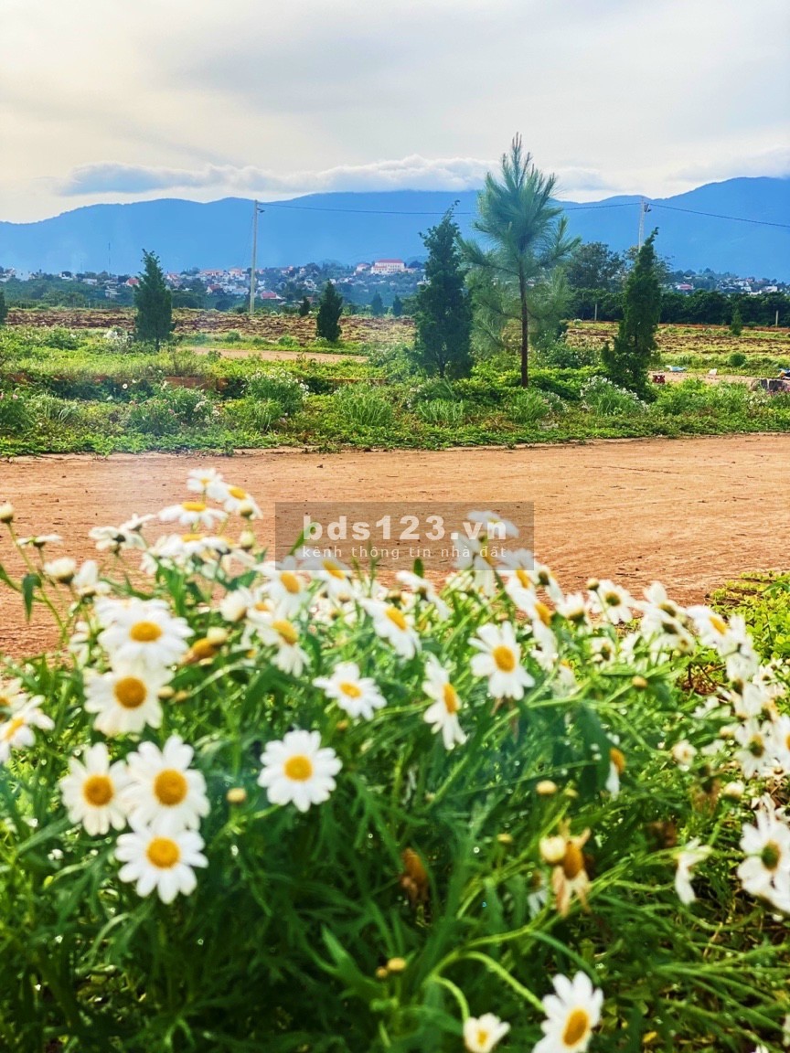 Đất ở đô thị trung tâm ven hồ Tây, sổ săn đường 24m, vị trí trung tâm gia chỉ 9 triệu/m2