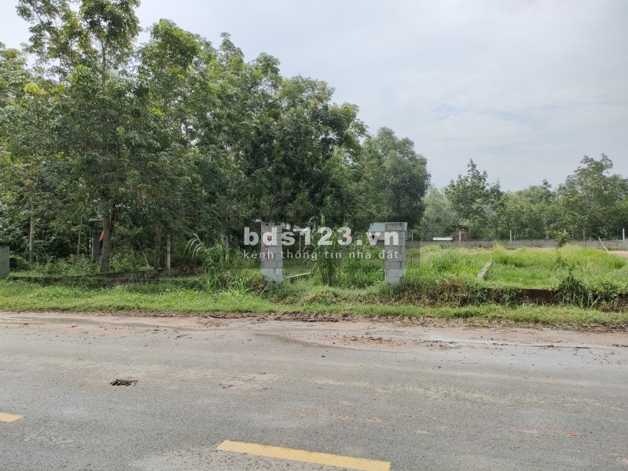 Em cần bán đất sổ đổ chính chủ, bàn giao trong ngày, liên hệ 0785494421 (Nhi), vị trí đẹp