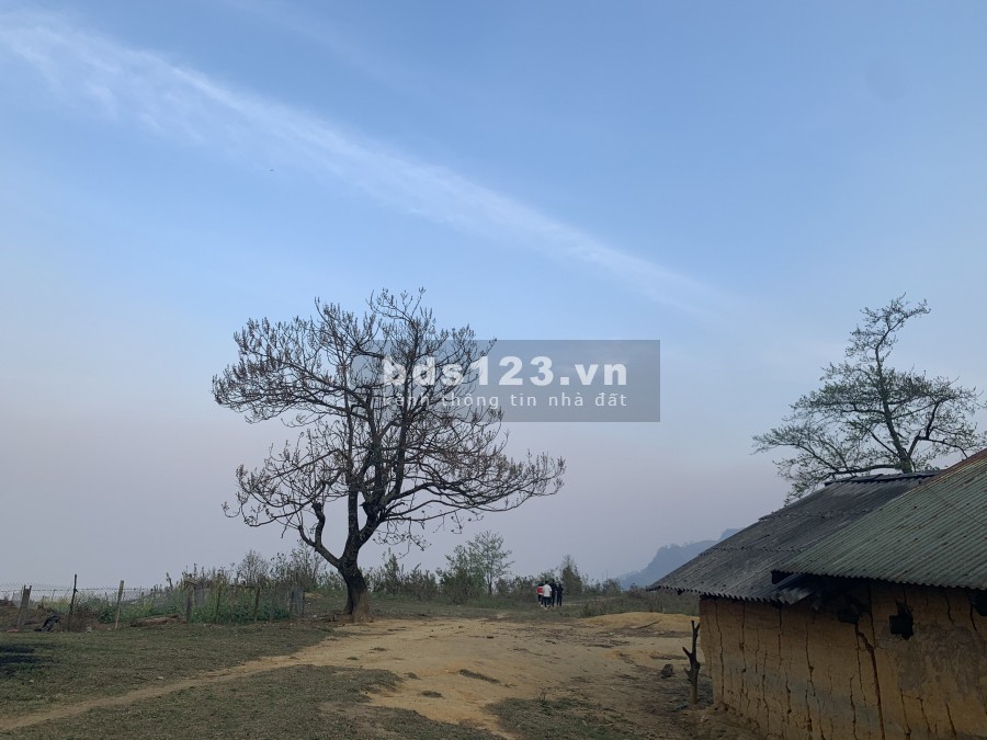 Đất Trung Chải Y Tý -Sapa2 1500m đất ở làng xóm, giáp khu hành chính huyện, sổ sẵn