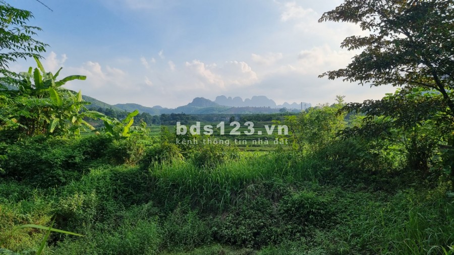 Bán trang trại khu nghỉ dưỡng 3634m2 view cánh đồng giá rẻ chỉ hơn tr/m2 cách HN 40km