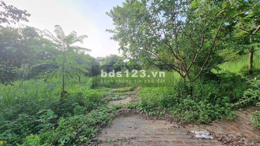 Bán trang trại khu nghỉ dưỡng 3634m2 view cánh đồng giá rẻ chỉ hơn tr/m2 cách HN 40km